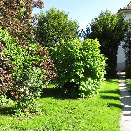 Saentisblick Meersburg