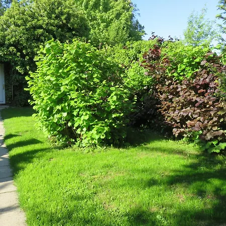 Santisblick בית הארחה